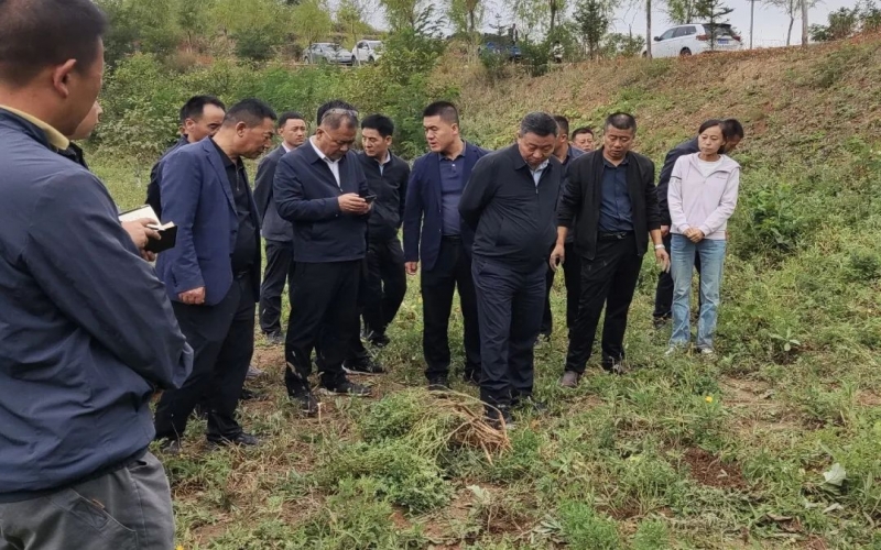 天水市政協(xié)副主席、清水縣委書記馬越垠到“榮程百草莊園”中藥材試驗(yàn)基地調(diào)研中草藥產(chǎn)業(yè)發(fā)展工作